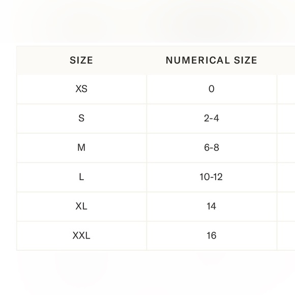 Tuckernuck The Shirt by Rochelle Behrens Green Bara | XXL | Rhinestones | NWT - Picture 10 of 11